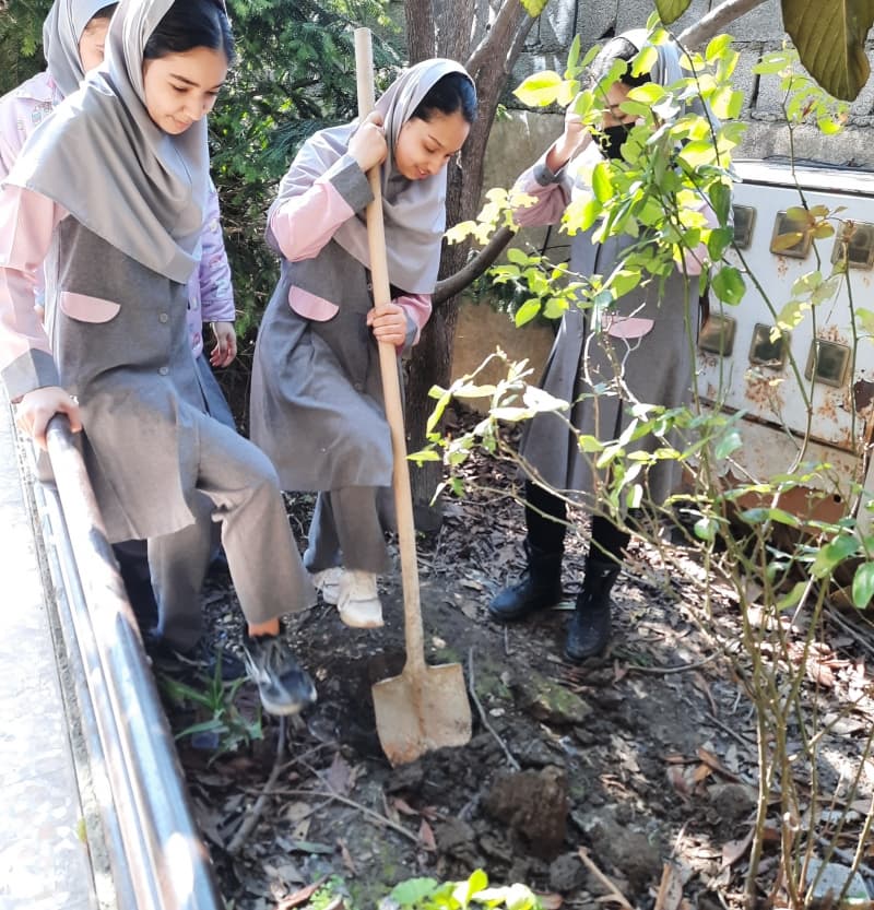 ۱۵ اسفند ماه روز درختکاری 