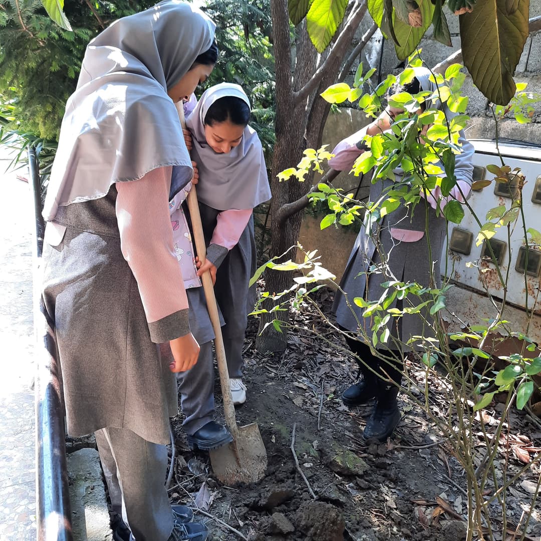 تصویر مقاله