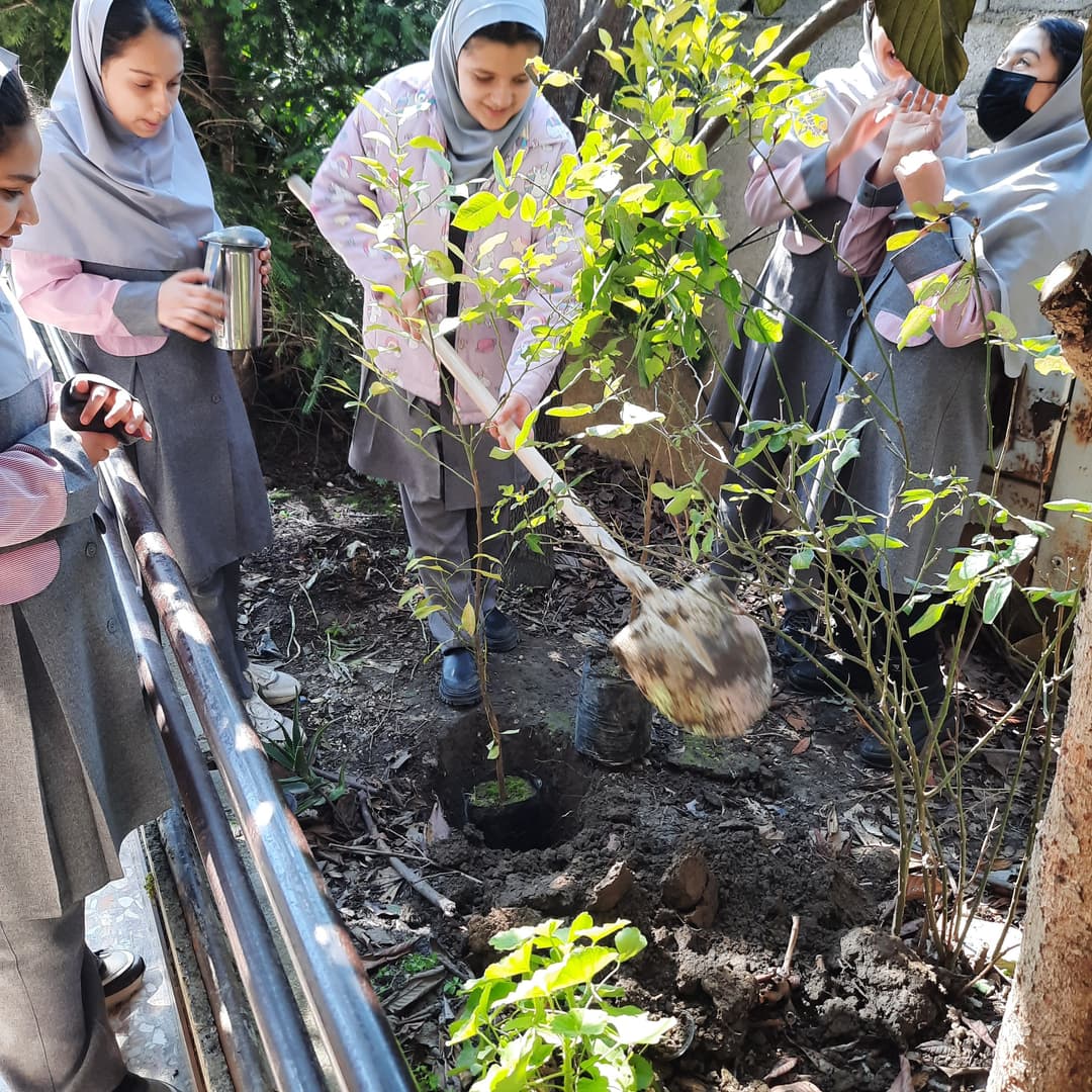 تصویر مقاله