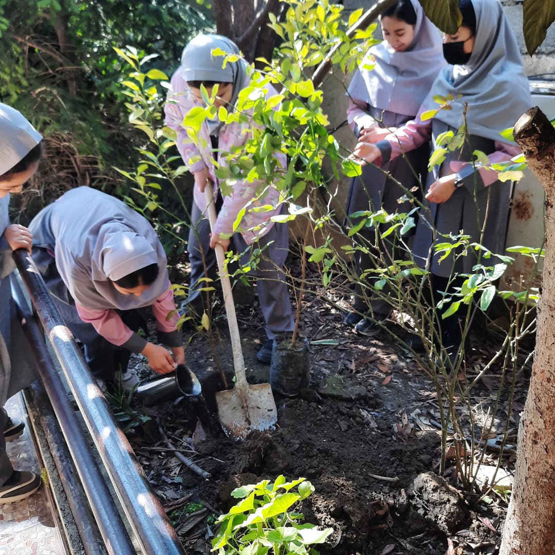 تصویر مقاله